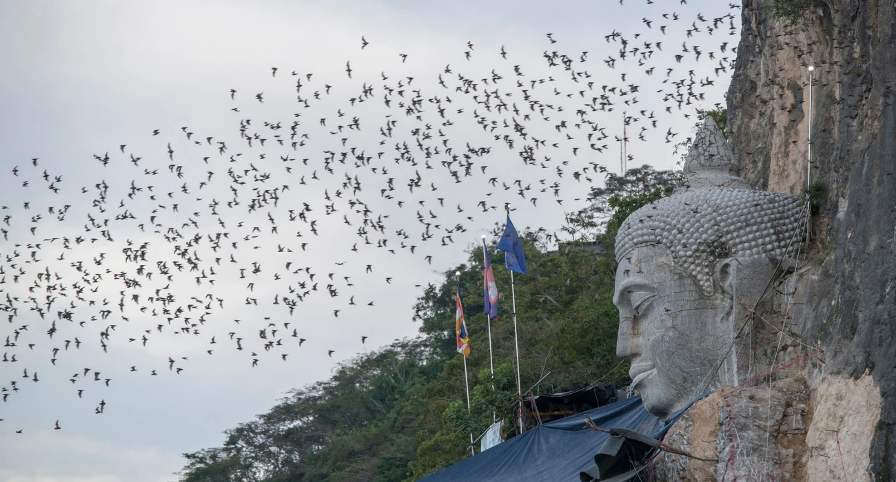 Cambodia (8)