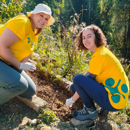 Two Challenges Abroad volunteers planting in a garden as part of an environmental conservation project
