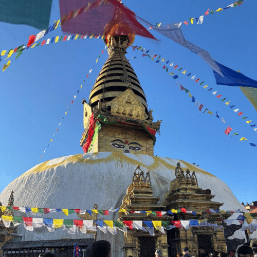 Visit Monkey Temple