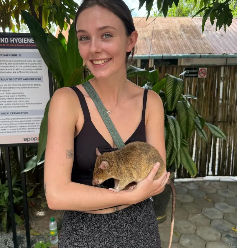 Smiling woman holds a large, friendly rat at a tropical sanctuary, surrounded by lush green foliage and informative signage.