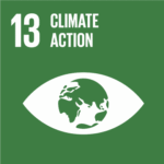 Sustainable Development Goal 13 Climate Action icon with Earth inside eye shape on green background