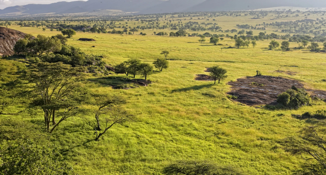 Tanzania (2)