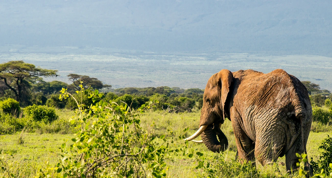 Tanzania (5)