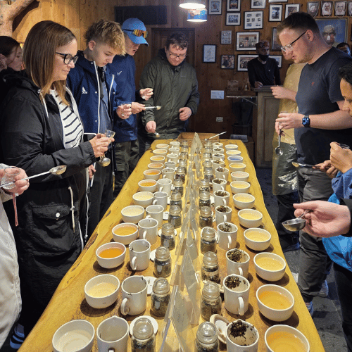 Discover Vibrant, Local Tea Flavors