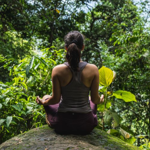 Panama SC - Cultural Immersion - Soak in the amazing wildlife