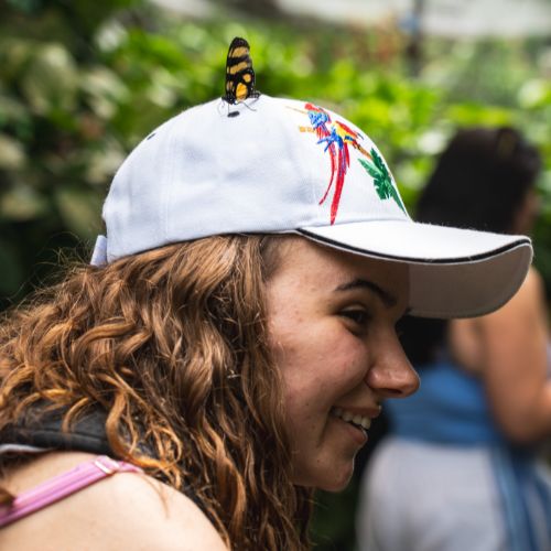 Visit the Butterfly Sanctuary